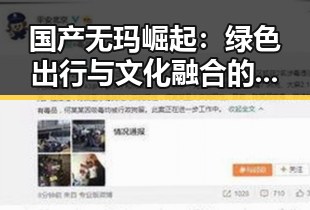 国产无玛崛起:绿色出行与文化融合的潮流新风尚